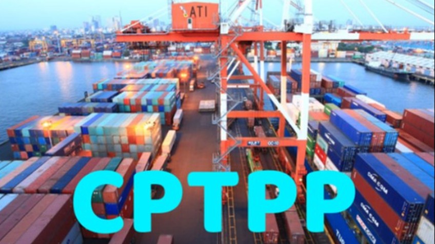 Quy định về đấu thầu mua sắm hàng hóa theo Hiệp định CPTPP