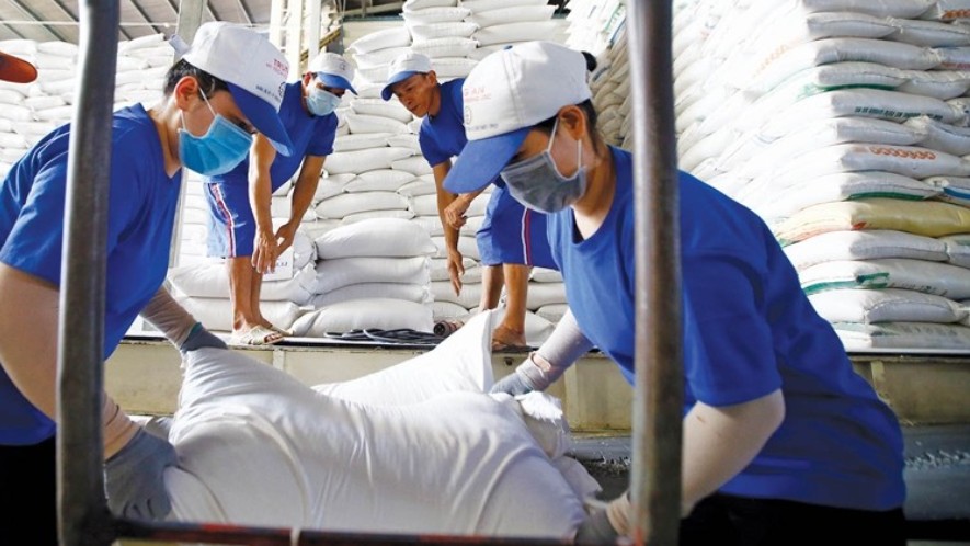 Nghiên cứu việc Ấn Độ cấm xuất khẩu gạo, có các giải pháp phù hợp