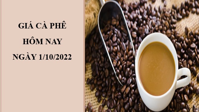 Giá cà phê hôm nay 2/10/2022: Tiếp tục điều chỉnh giảm nhẹ