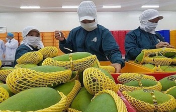 Cảnh báo nông sản, thực phẩm Việt Nam khi xuất khẩu vào thị trường EU