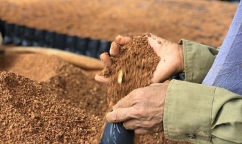Thử nghiệm phân bón từ đất hiếm: Đất hiếm nay không còn “hiếm”
