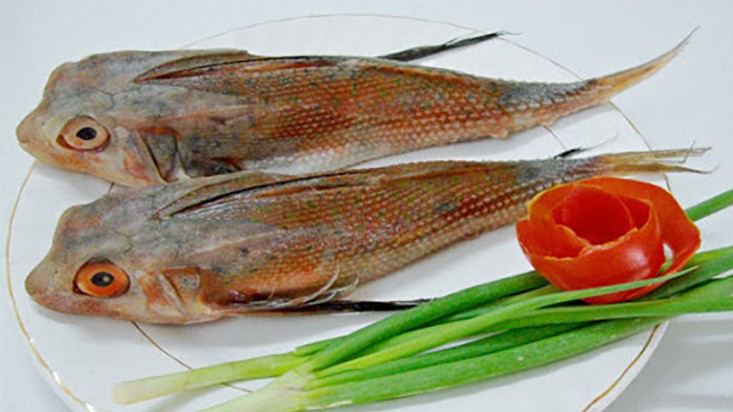 Loài cá từng bị chê, không mấy người ăn trở thành đặc sản có giá 300.000/kg