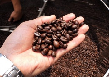 Chuyển dịch thị trường xuất khẩu, cà phê Việt Nam kỳ vọng sẽ bứt phá dịp cuối năm
