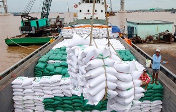 Giá gạo xuất khẩu Việt Nam tăng kỷ lục vượt Thái Lan