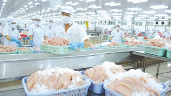 Trung Quốc sẽ tiếp tục là thị trường trụ cột của cá tra Việt Nam