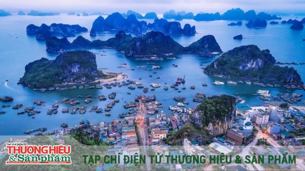 Vân Đồn - Thương cảng đầu tiên của Việt Nam