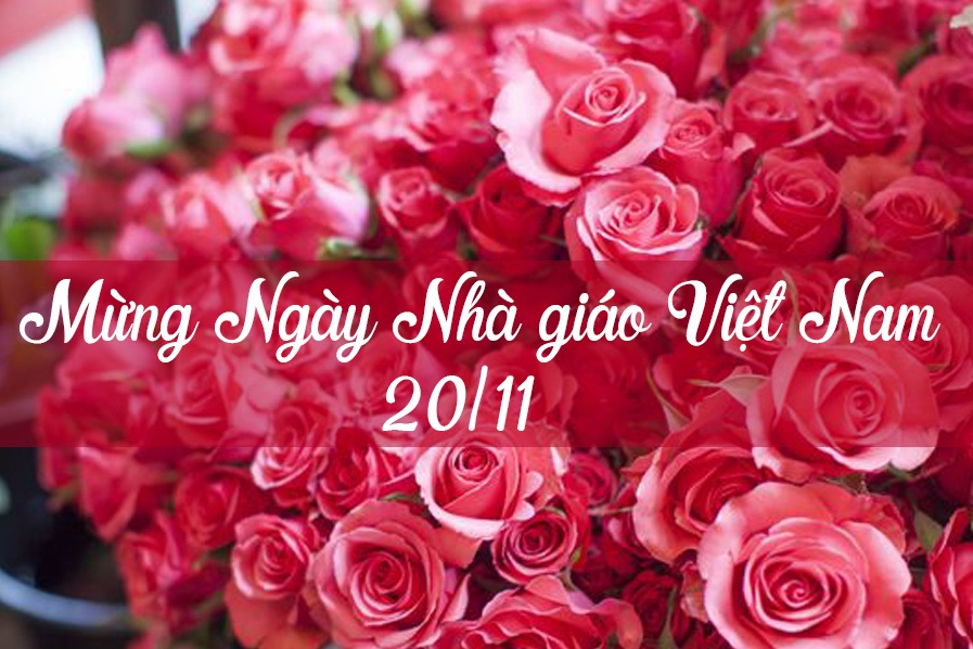 Chúc mừng Ngày Nhà giáo Việt Nam! Hãy để chúng tôi giúp bạn gửi tặng những thông điệp yêu thương đến thầy cô của mình với những thiệp chúc mừng tuyệt đẹp.