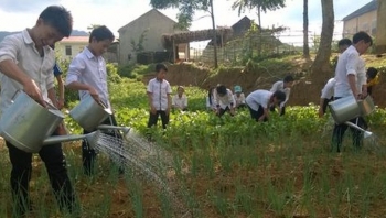 Nơi vùng biên, thầy cô giáo nuôi lợn, trồng rau cho bữa ăn của học sinh