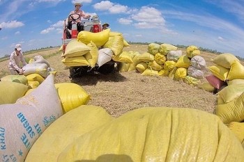 Có bất thường không khi ‘cường quốc’ xuất khẩu gạo vẫn phải nhập gần 1 triệu tấn gạo mỗi năm?