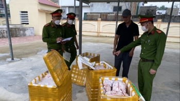Hà Tĩnh: Bắt giữ xe tải vận chuyển 400kg da, mỡ động vật