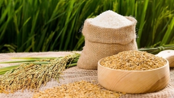 Giá lúa gạo hôm nay 26/11/2022: Duy trì ổn định