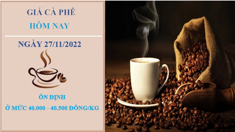 Giá cà phê hôm nay 27/11/2022: Trong nước tăng thêm 1.000 đồng/kg/tuần
