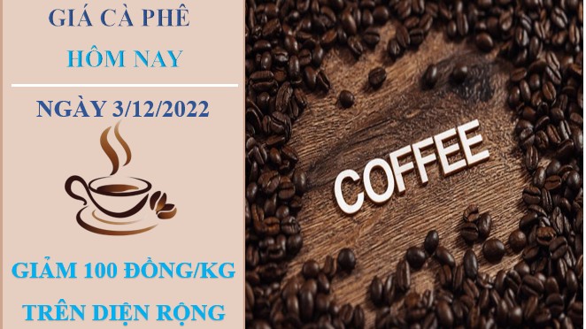 Giá cà phê hôm nay 3/12/2022: Dứt chuỗi tăng, giảm nhẹ 100 đồng/kg