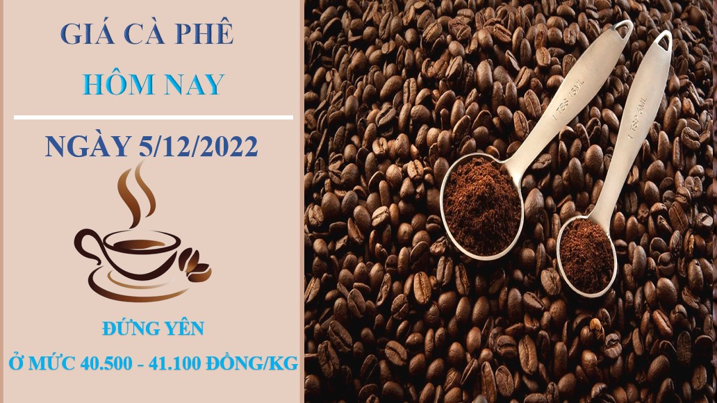 Giá cà phê hôm nay 5/12/2022: Triển vọng không mấy lạc quan cho tháng 12/2022