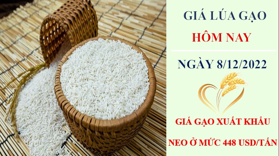 Giá lúa gạo hôm nay 8/12/2022: Giá gạo xuất khẩu neo ở mức 448 USD/tấn