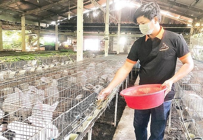 Anh Đặng Hồng Phúc Thanh niên vượt khó làm giàu từ mô hình nuôi thỏ  Cổng  Thông tin điện tử tỉnh Tiền Giang