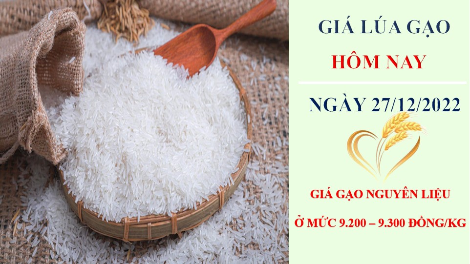 Giá lúa gạo hôm nay 27/12/2022: Tiếp tục đi ngang tại Đồng bằng sông Cửu Long