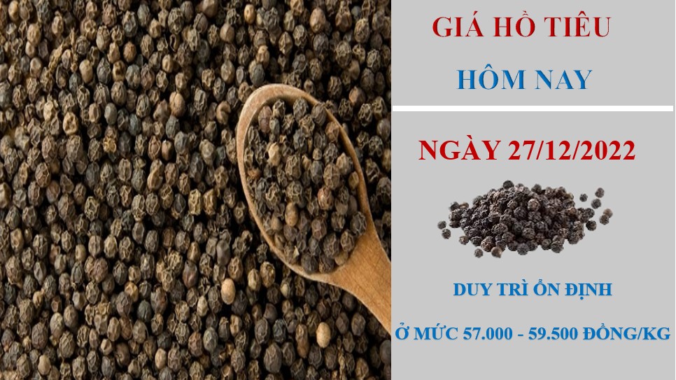 Giá hồ tiêu hôm nay 27/12/2022: không ghi nhận biến động mới