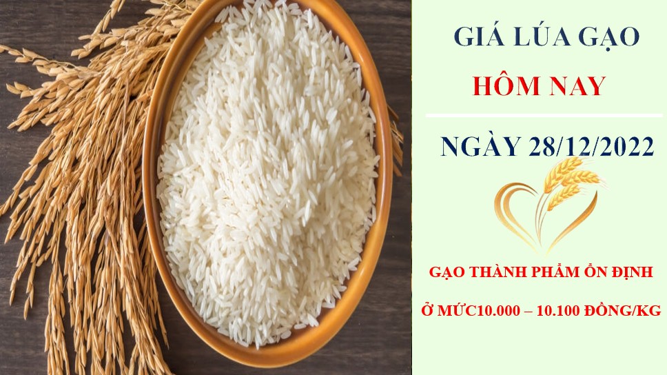 Giá lúa gạo hôm nay 28/12/2022: Không có biến động mới