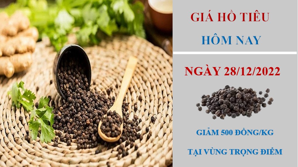 Giá hồ tiêu hôm nay 28/12/2022: Quay đầu giảm tại các vùng trọng điểm