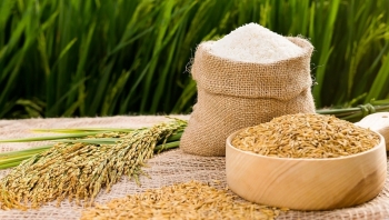 Ấn Độ đẩy mạnh xuất khẩu gạo sẽ gây áp lực lên giá gạo của Việt Nam