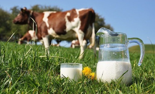 Sữa hữu cơ: Giải pháp lý tưởng cho sức khỏe của bé
